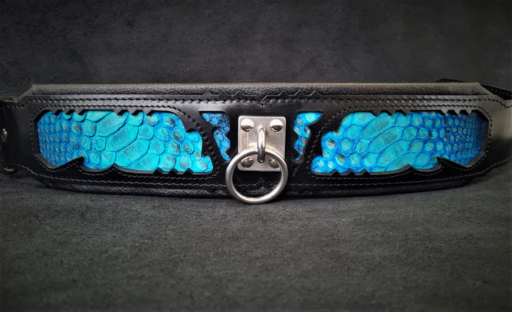 The ''Morelia Python'' collar-1