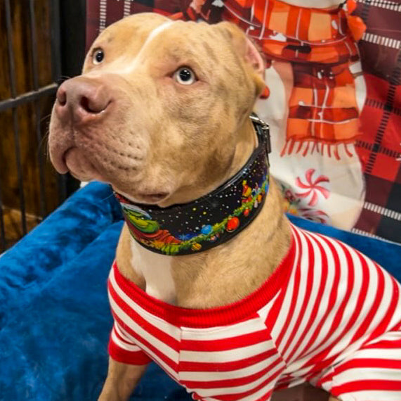 The Grinchmas Limited Collar-2