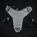 The Dragon Scale harness Medium Size-0