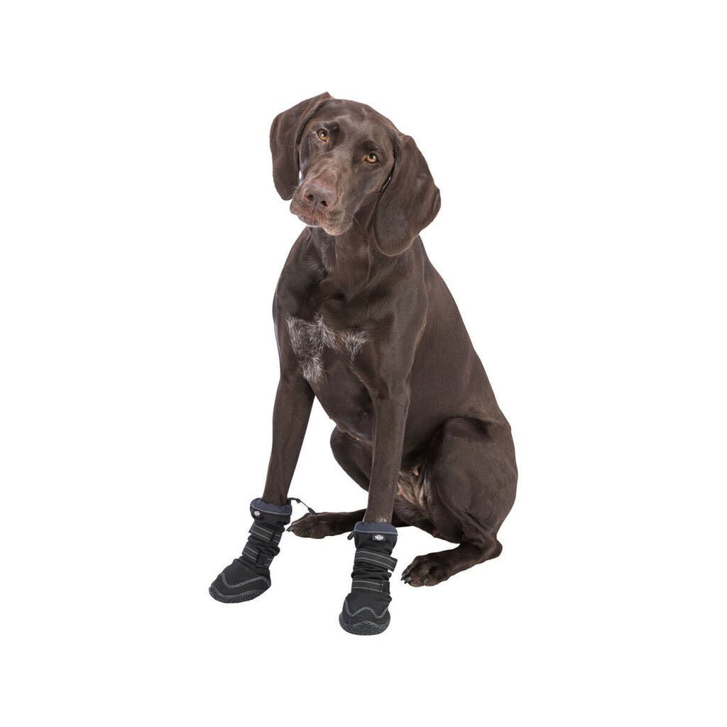 Dog shoes Trixie 19410 Black-8