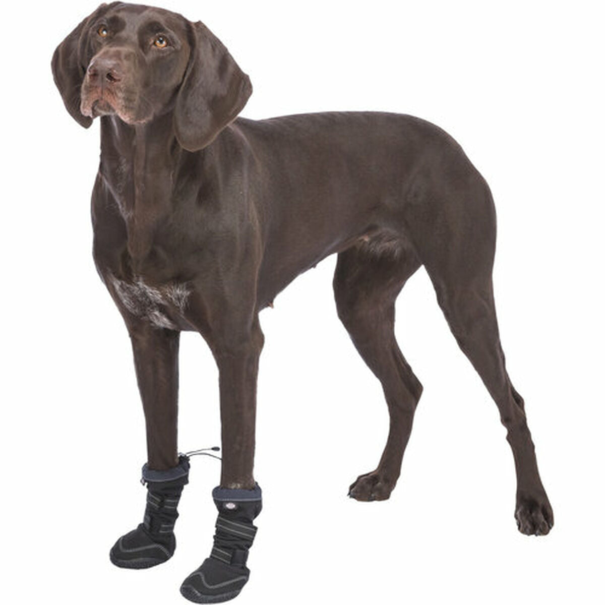 Dog shoes Trixie 19410 Black-15
