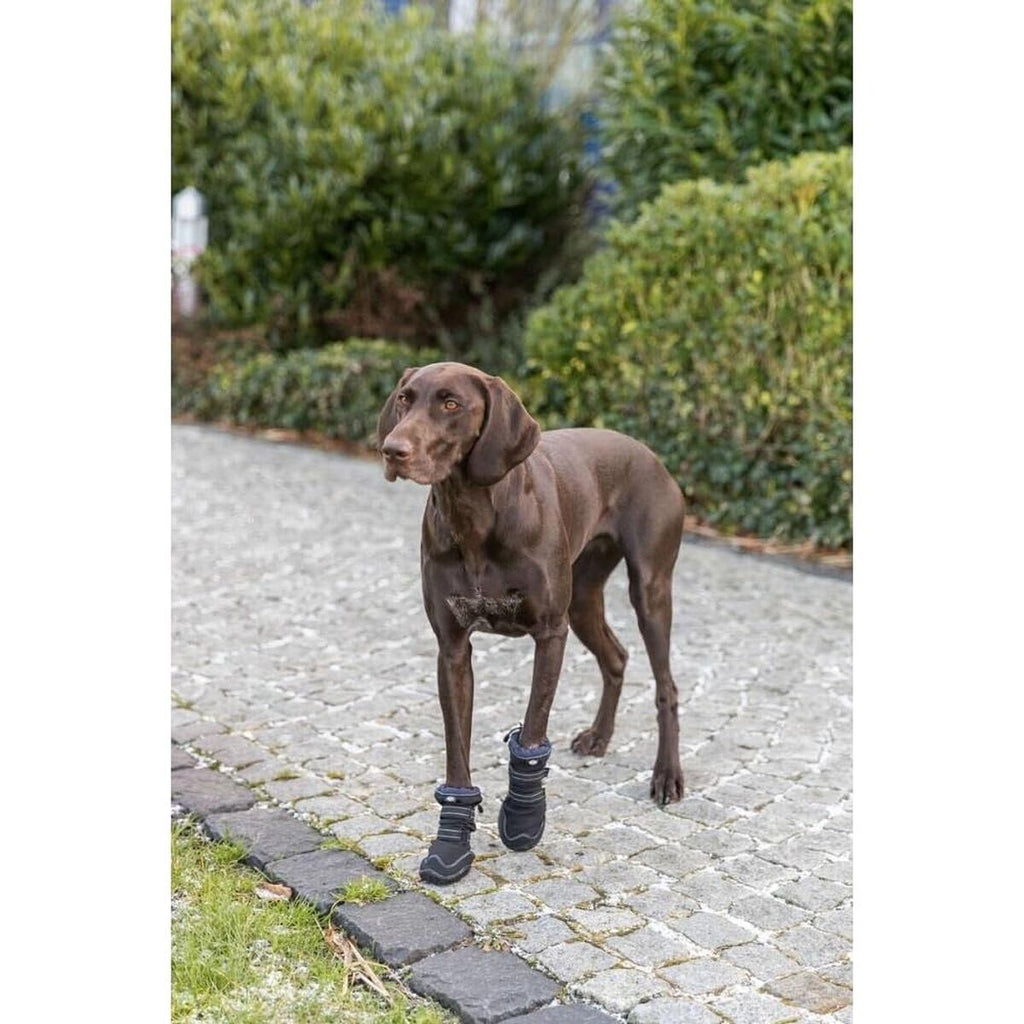 Dog shoes Trixie 19410 Black-1