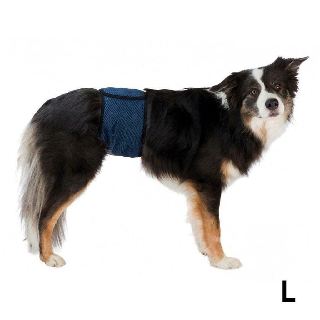 Incontinence Protector Trixie Male Plug Abdomen-1