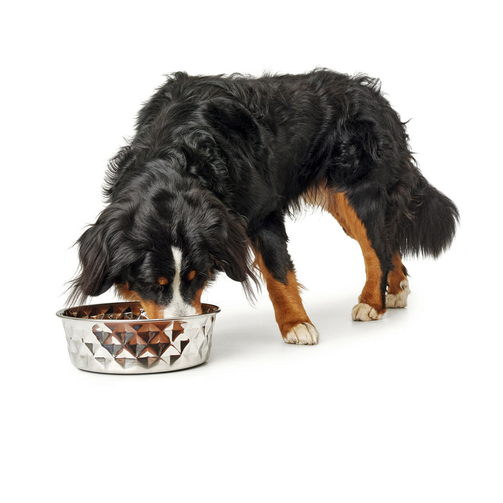 Dog Feeder Hunter Silicone Stainless steel 1,05 L-6