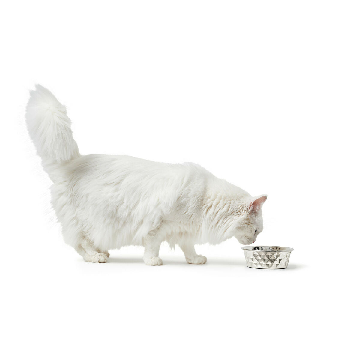 Dog Feeder Hunter Silicone Stainless steel 1,05 L-5