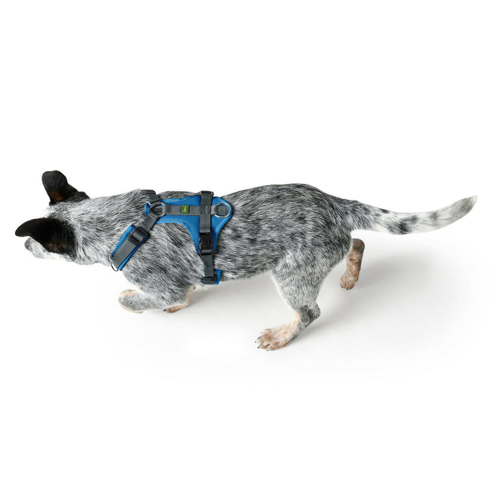 Dog Harness Hunter Maldon Up Blue 50-84 cm-2