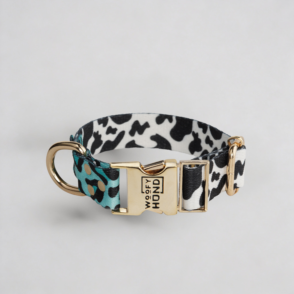 Halsband Aqua Camo-0
