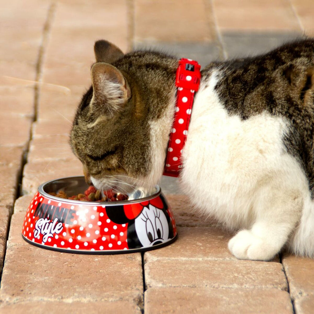 Dog Feeder Minnie Mouse Red Melamin 180 ml Black Metal-5