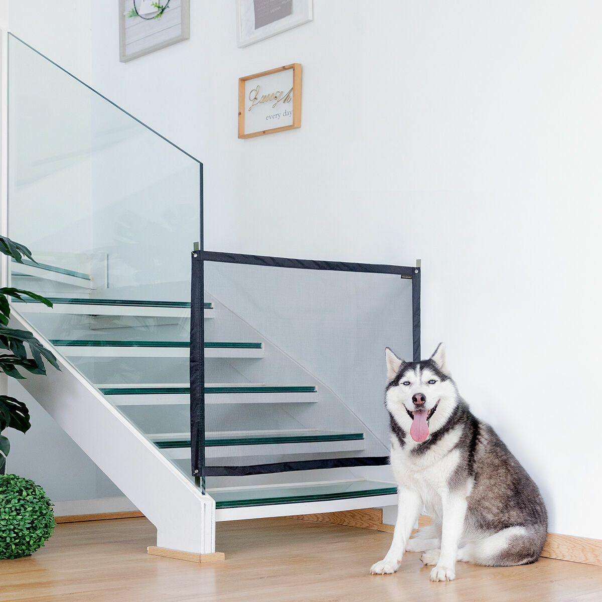Safety Net for Pets Petinu InnovaGoods-0