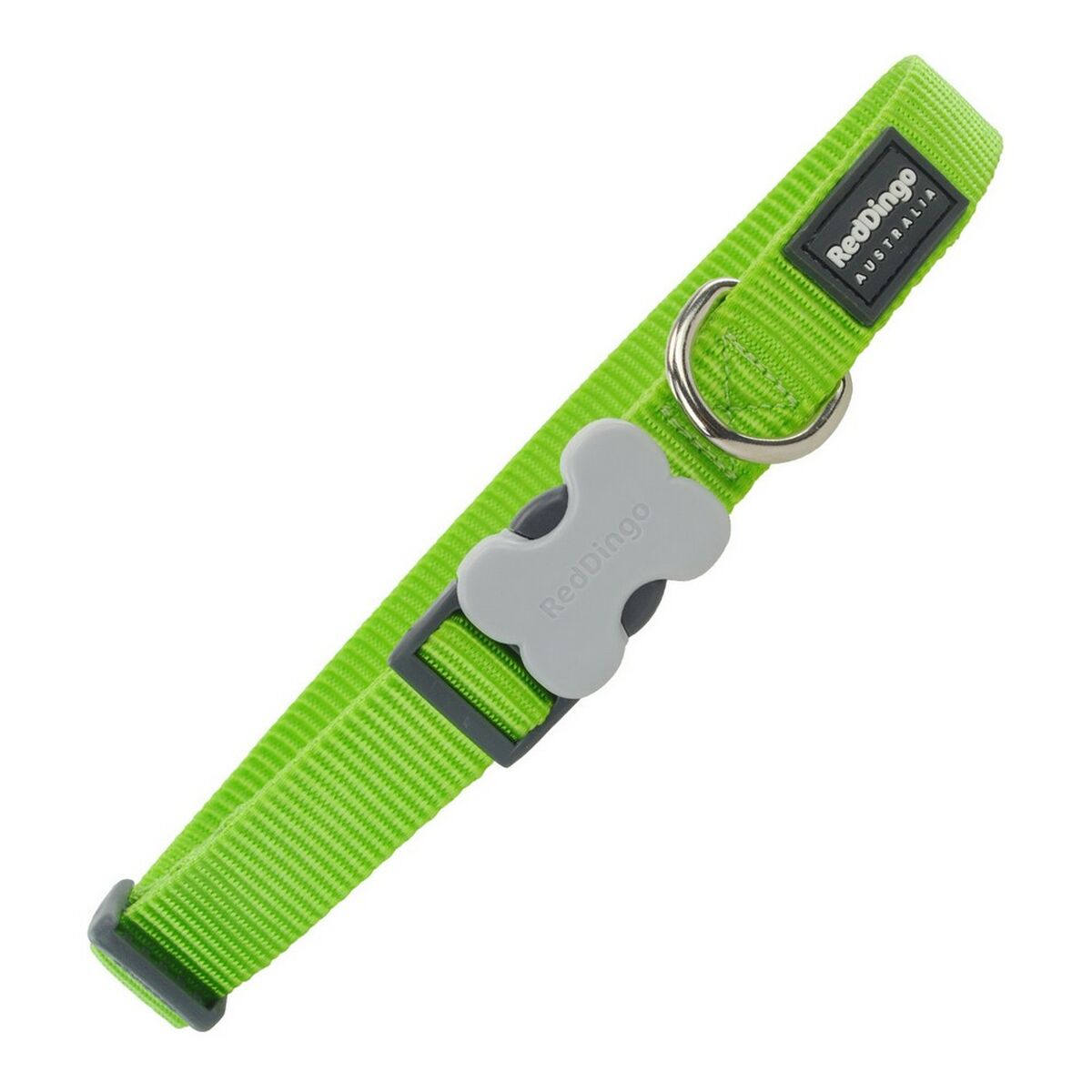 Dog collar Red Dingo Lime (1,5 x 24-36 cm)-0