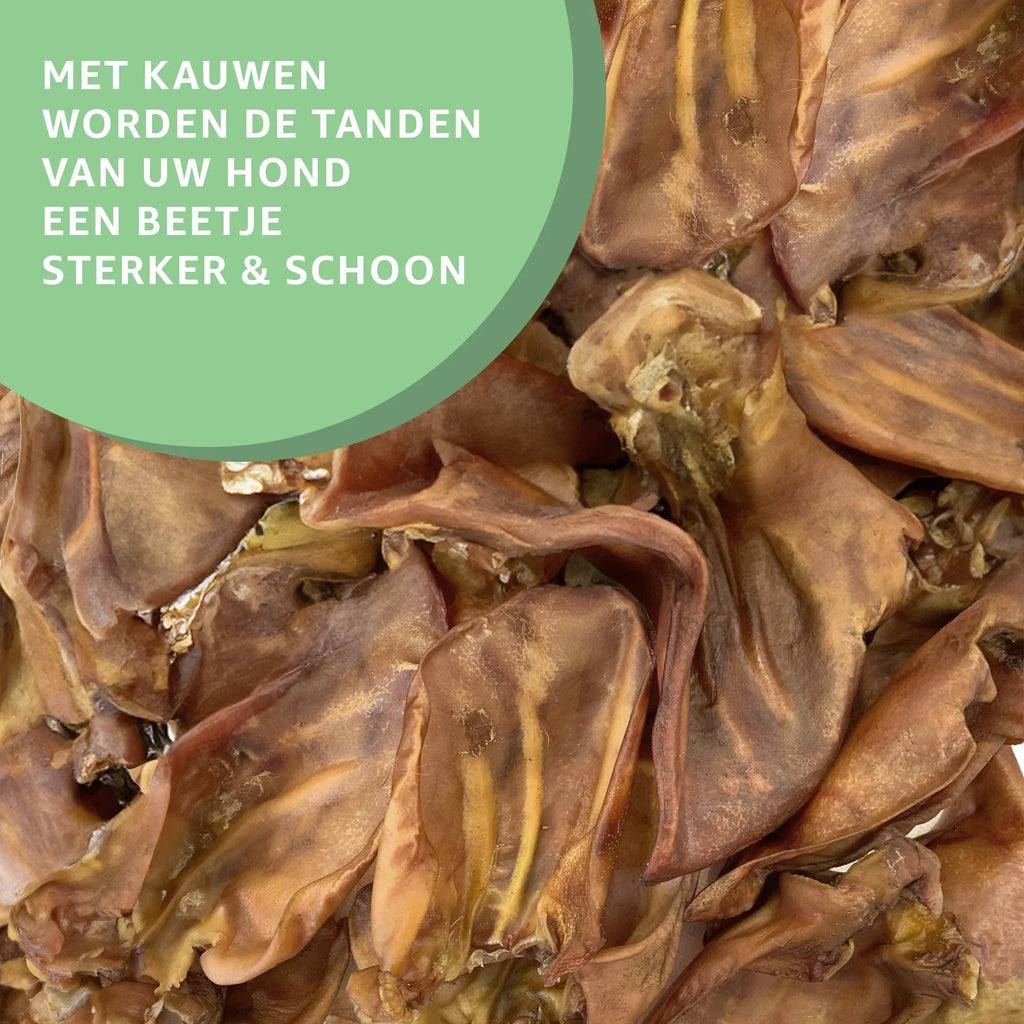 Varkensoren-3
