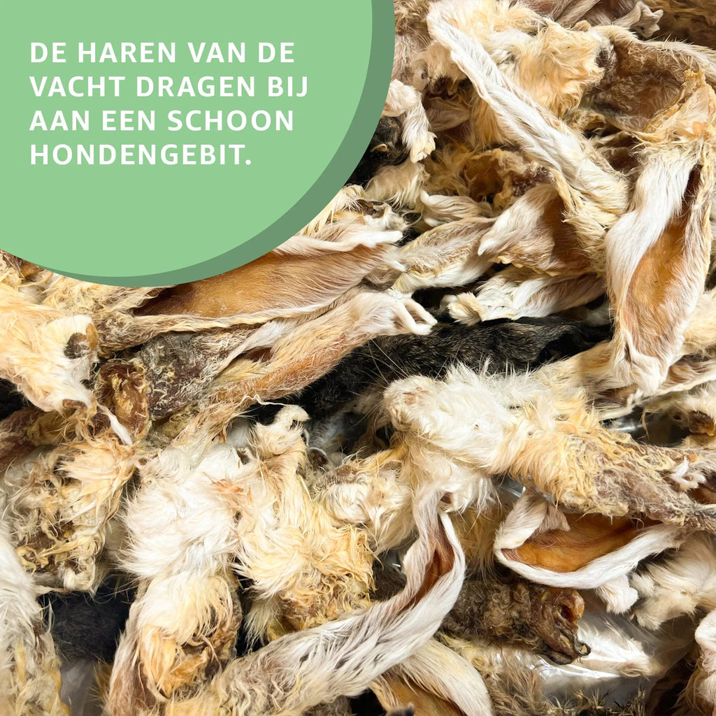 Konijnenoren met vacht-3