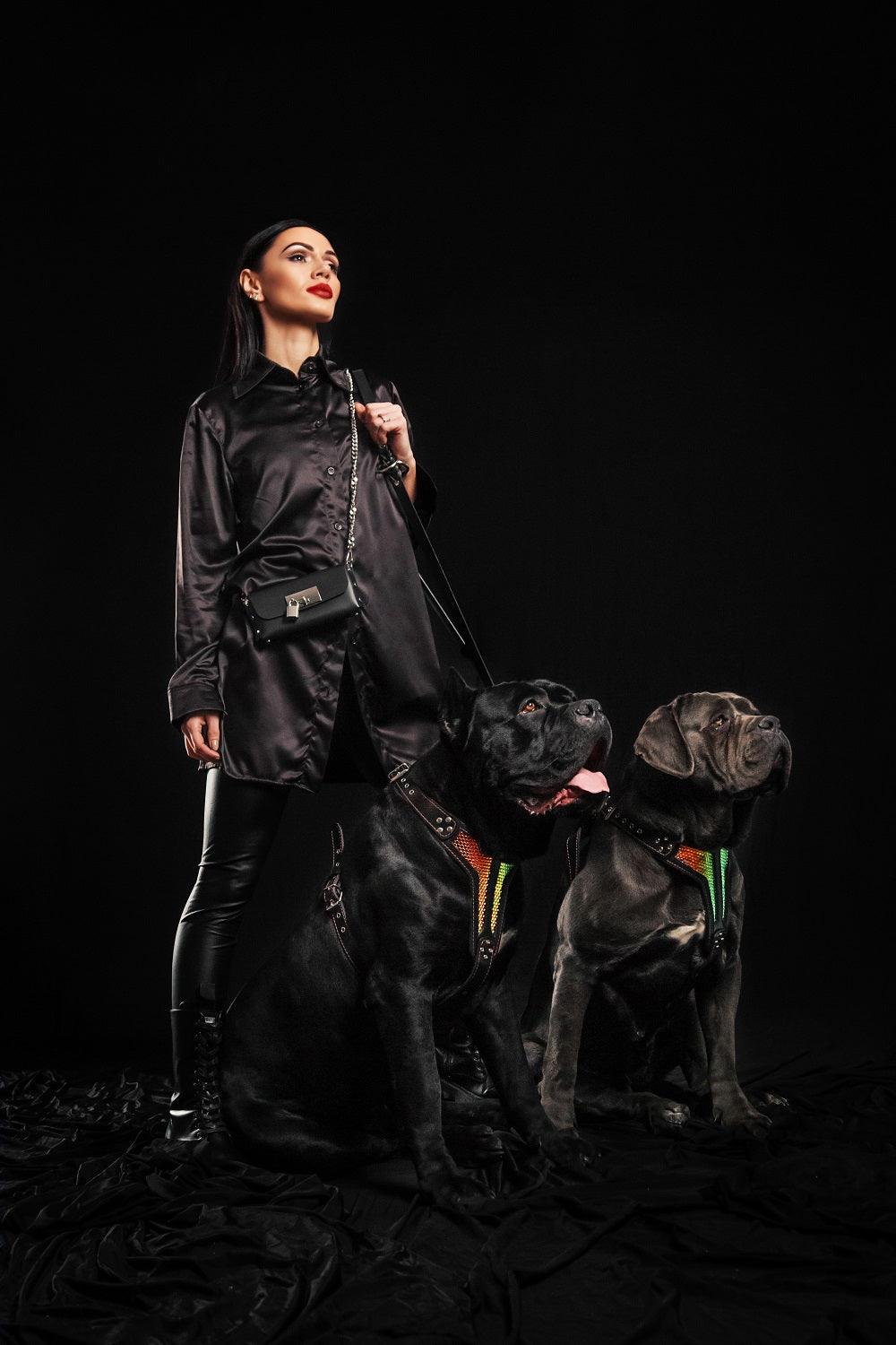 The ''D`Albertis'' harness LIMITED-3