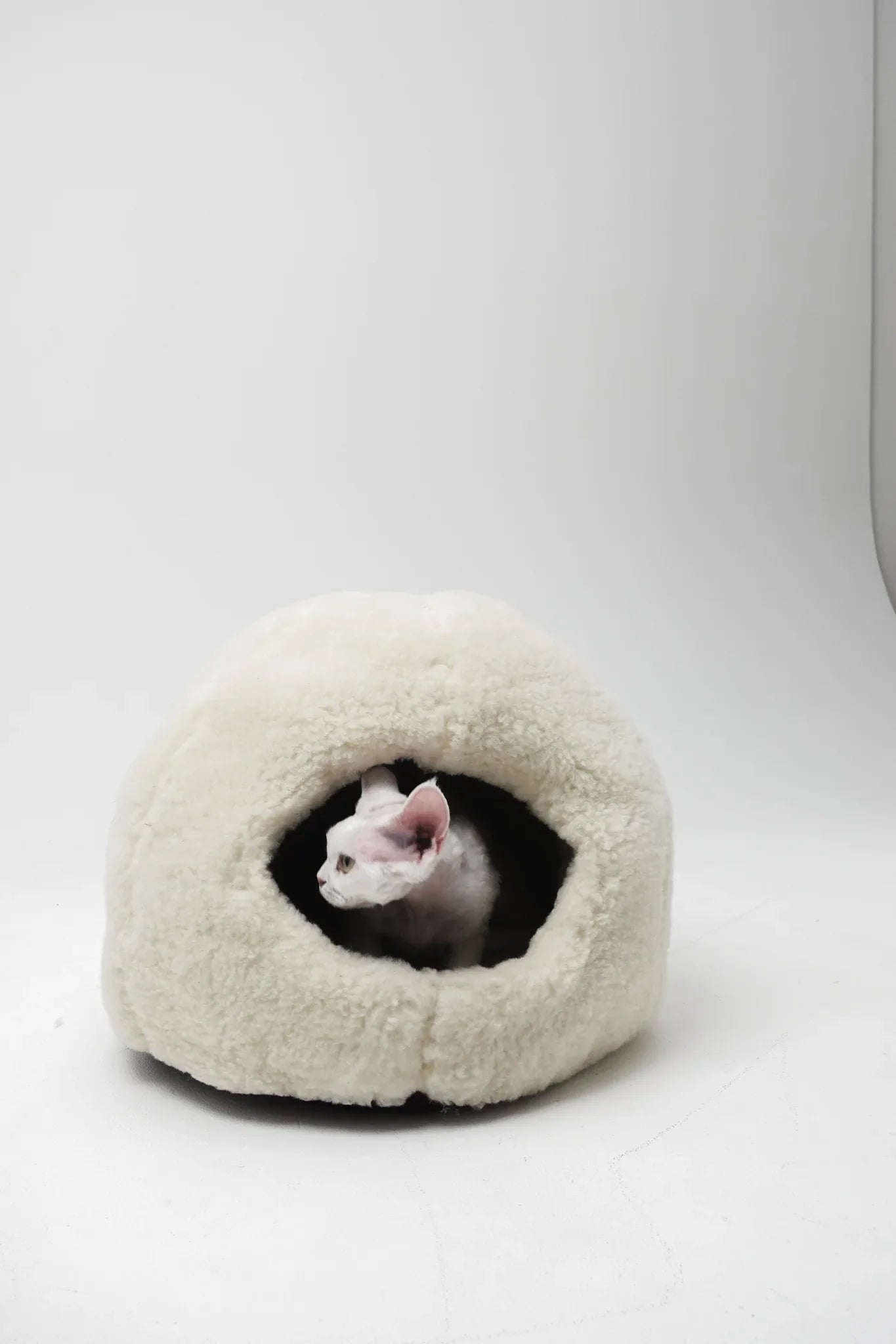 Nest Natural Woolen Pet Bed - White-4