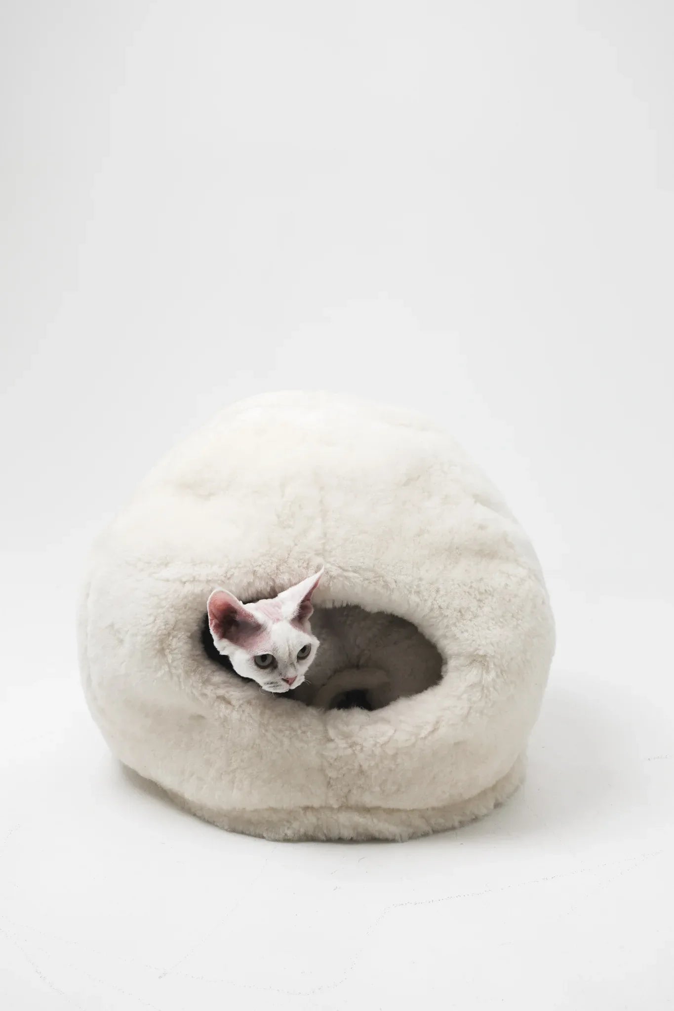 Nest Natural Sheepskin Pet Bed - White-3