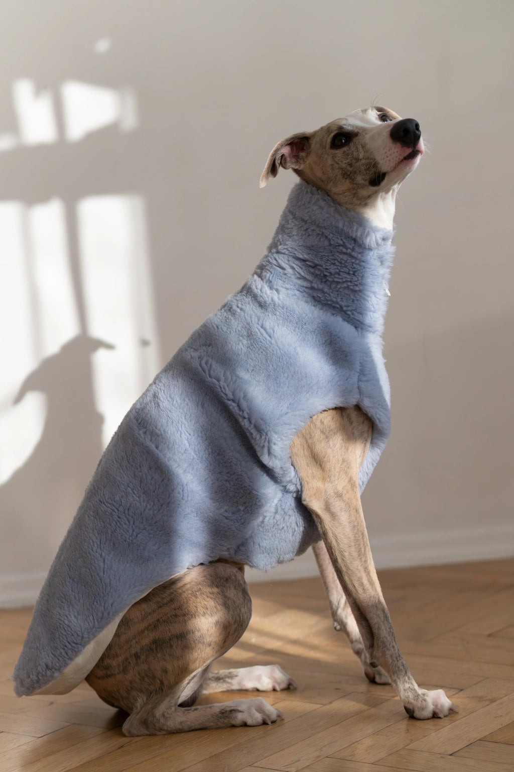 Woolen Dog Vest - Blue-1