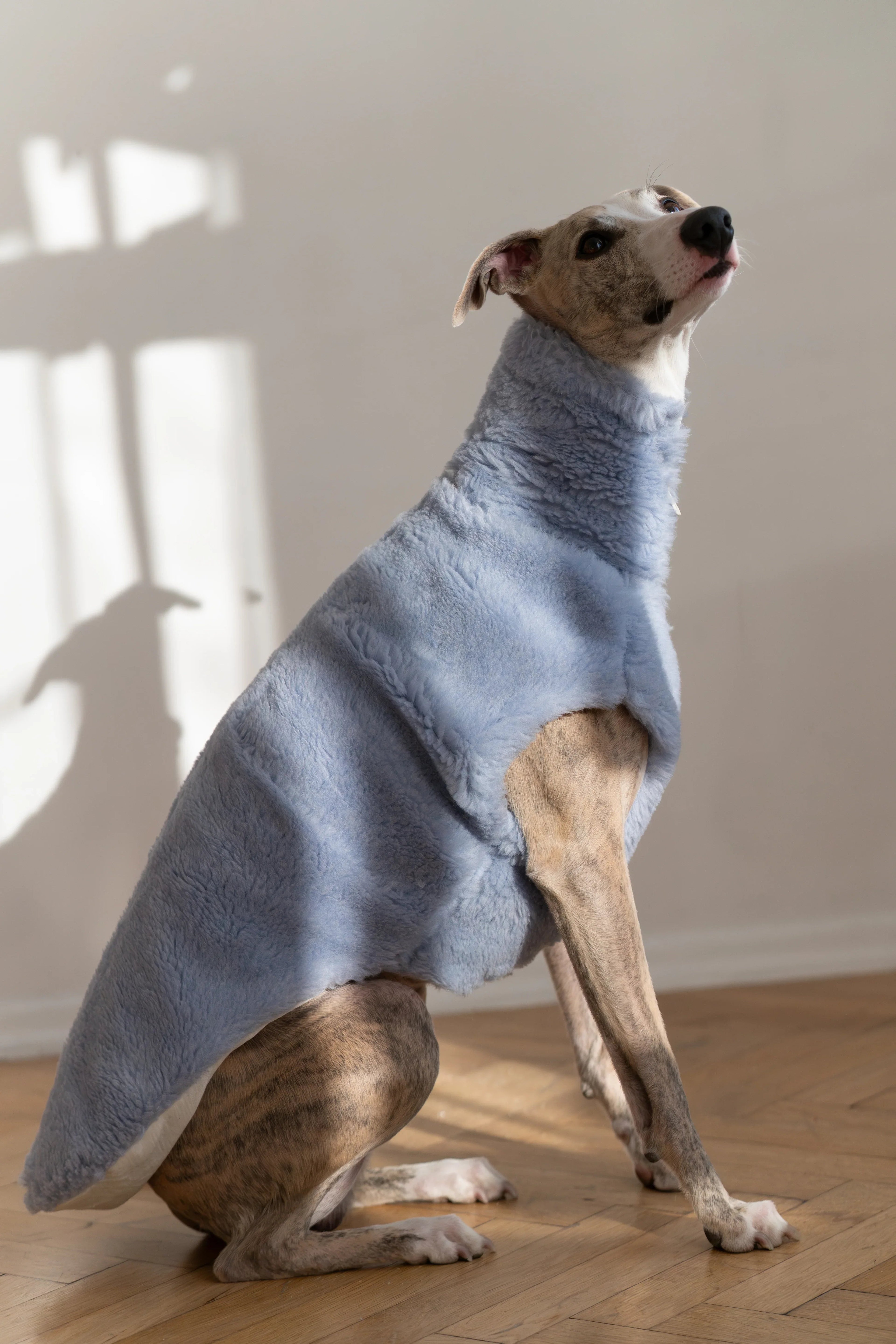 Woolen Dog Vest - Blue-1