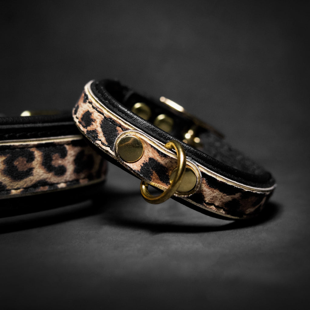 The Leopard Puppy Collar-0