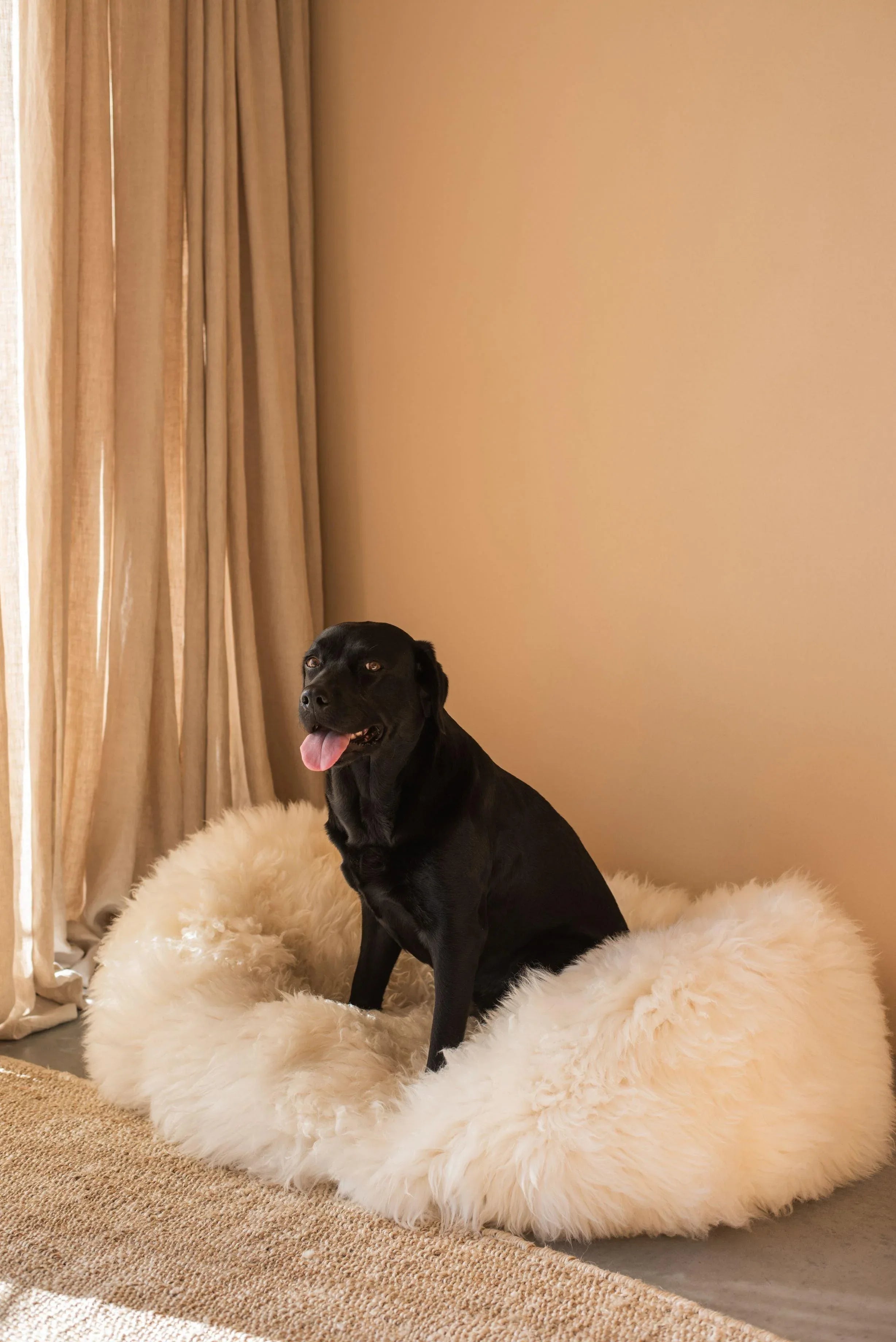 Oval Natural Sheepskin Pet Bed - White-3