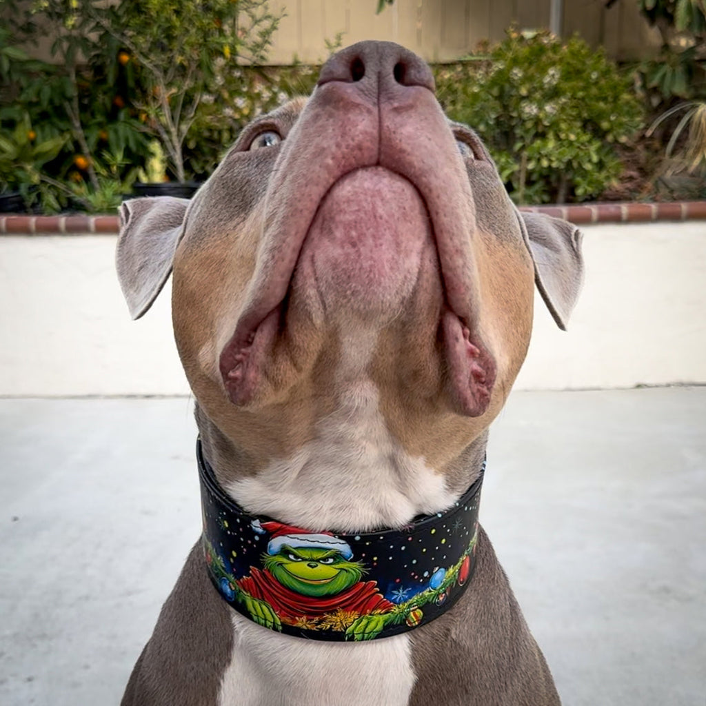 The Grinchmas Limited Collar-3