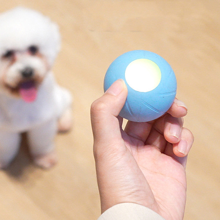 Interactive Cat Toy for Active Play and Mental Stimulation-0