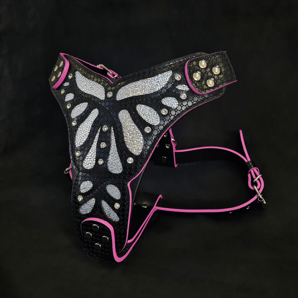 The ''Ariel'' harness-1