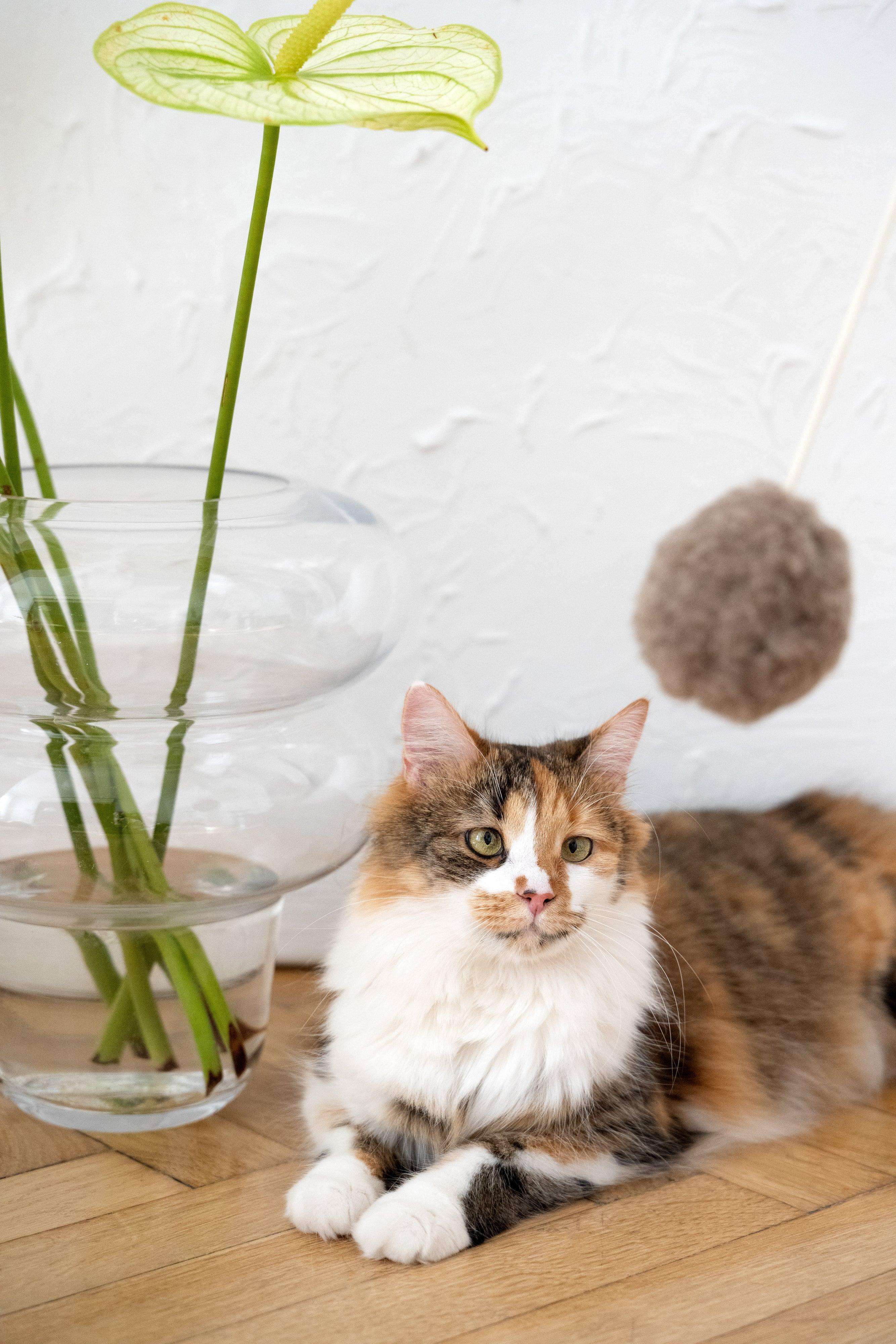 Natural Sheepskin Cat Toy: Ball-4