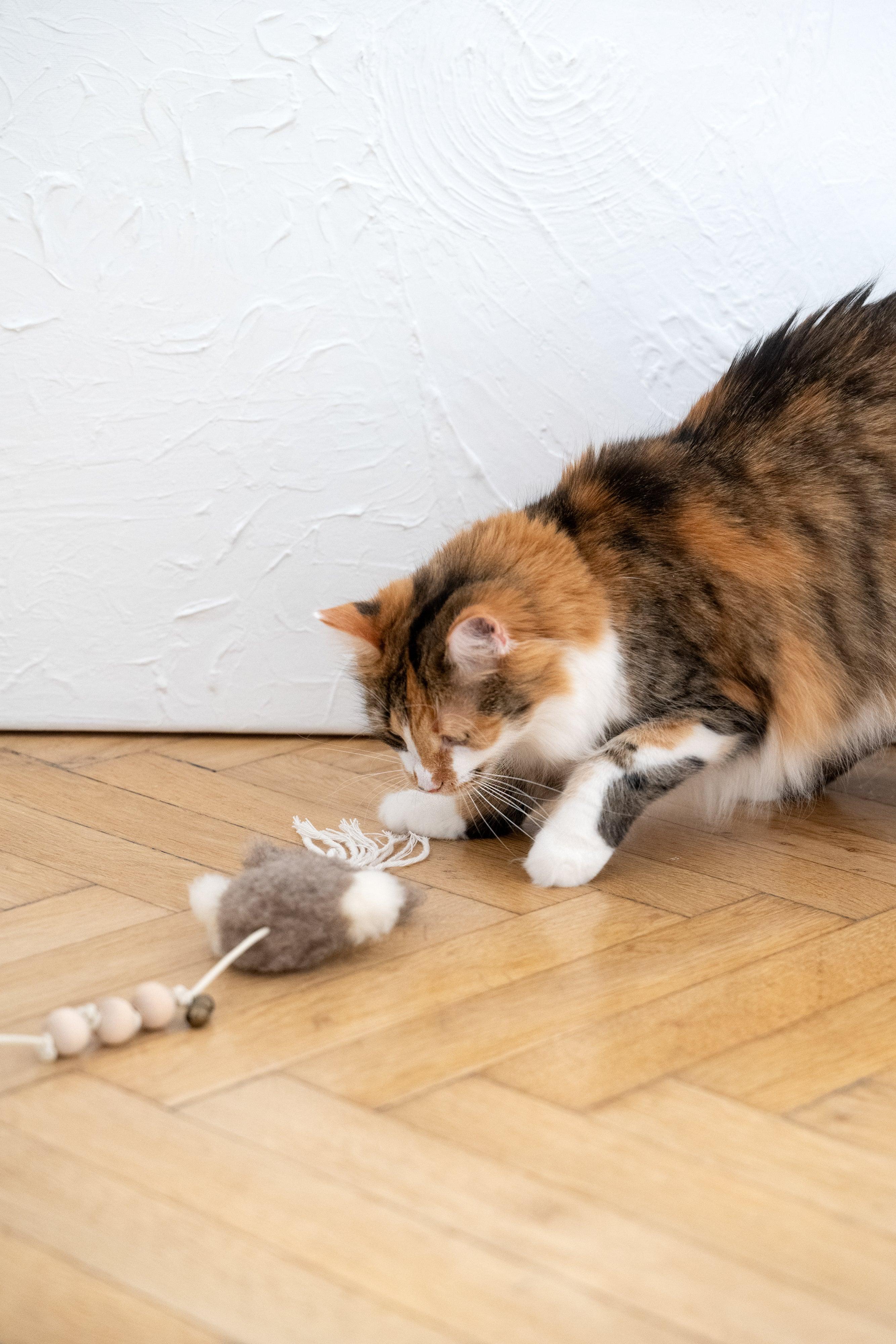 Natural Sheepskin Cat Toy: Squid-2