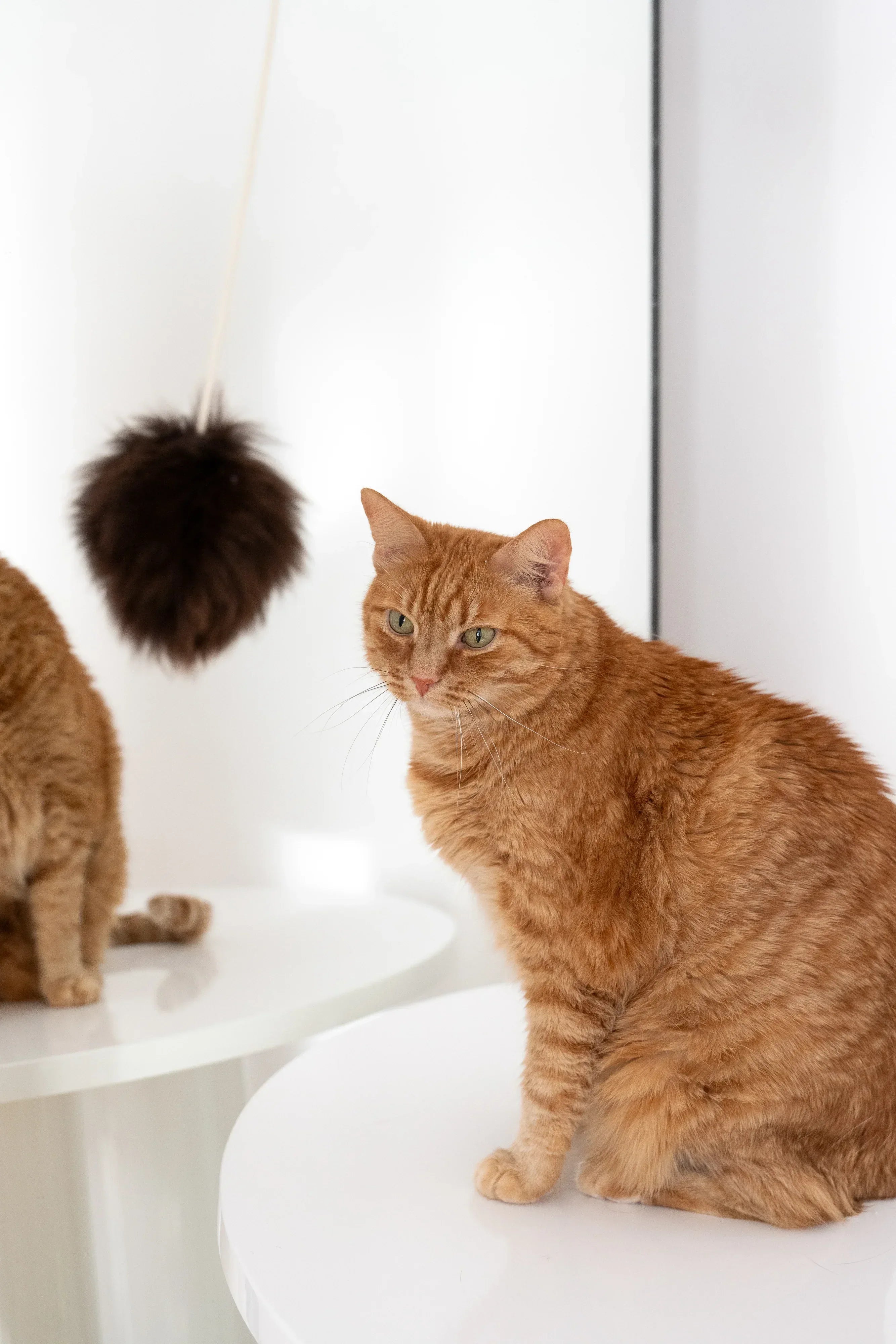 Natural Woolen Cat Toy: Ball-2