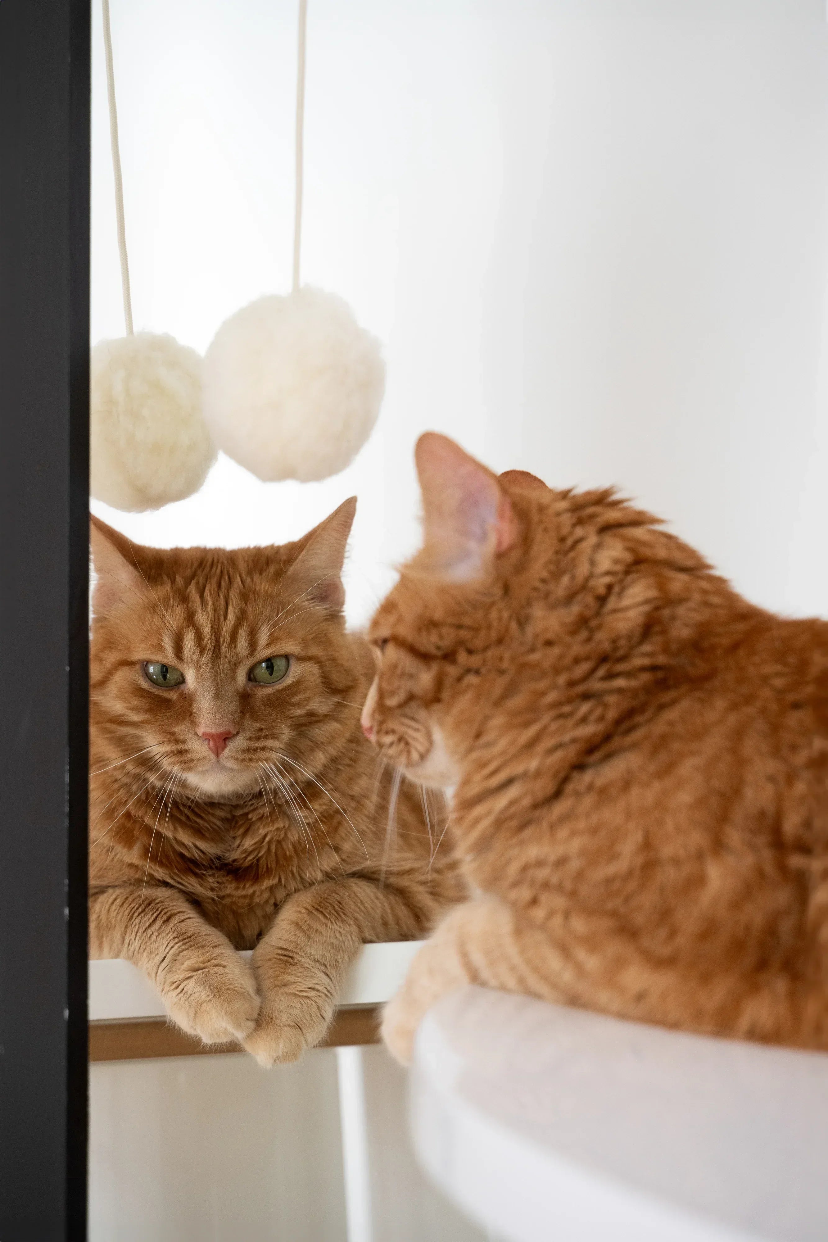 Natural Sheepskin Cat Toy: Ball-0