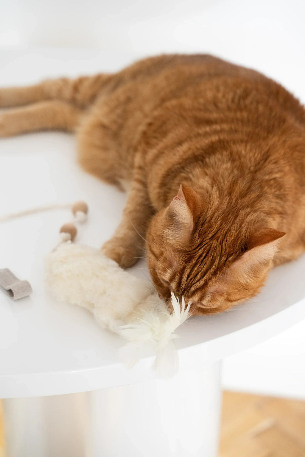 Natural Sheepskin Cat Toy: Fish-4