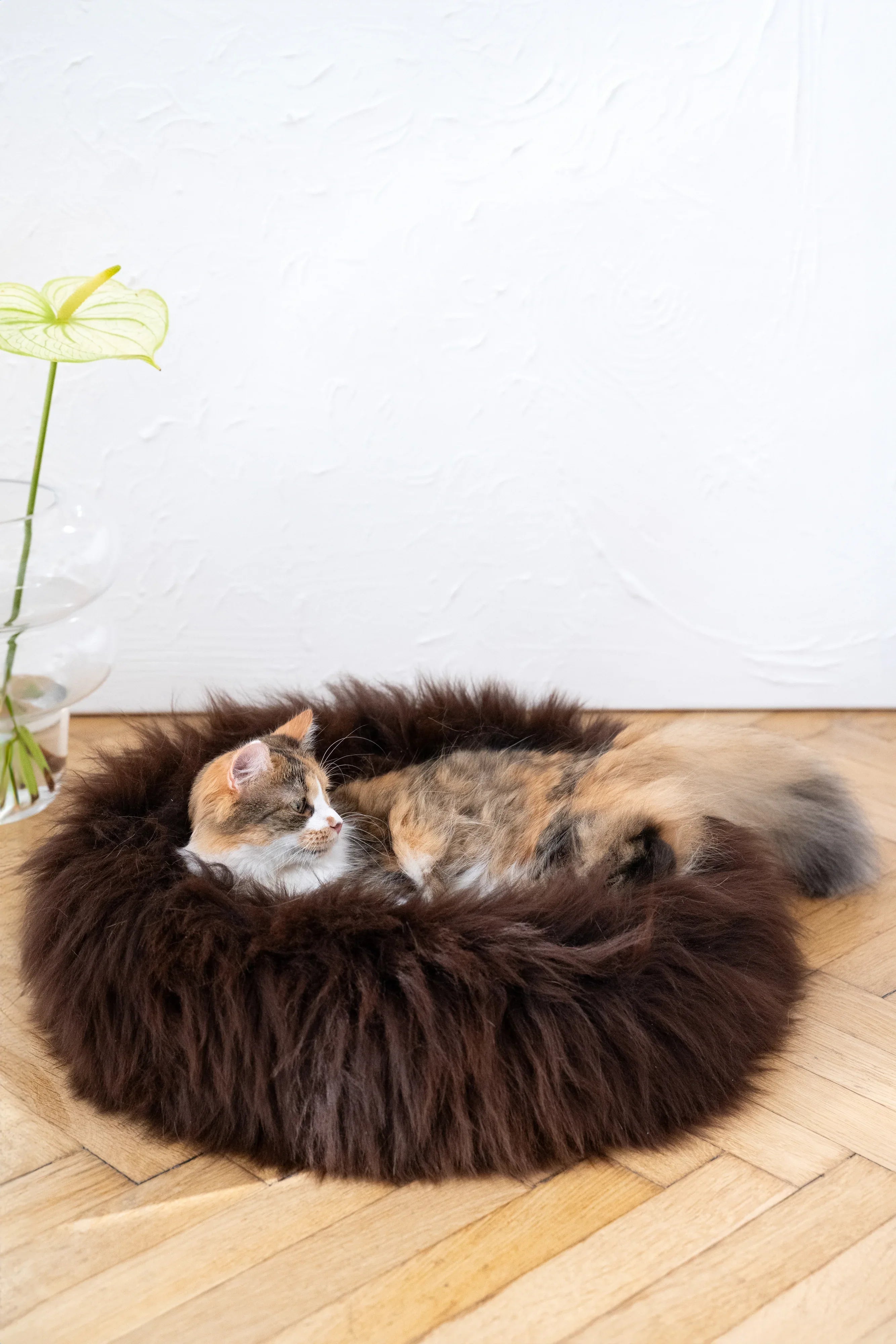Round Natural Sheepskin Pet Bed - Brown-2