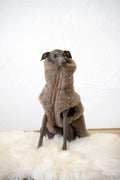Woolen Dog Vest - Beige-0