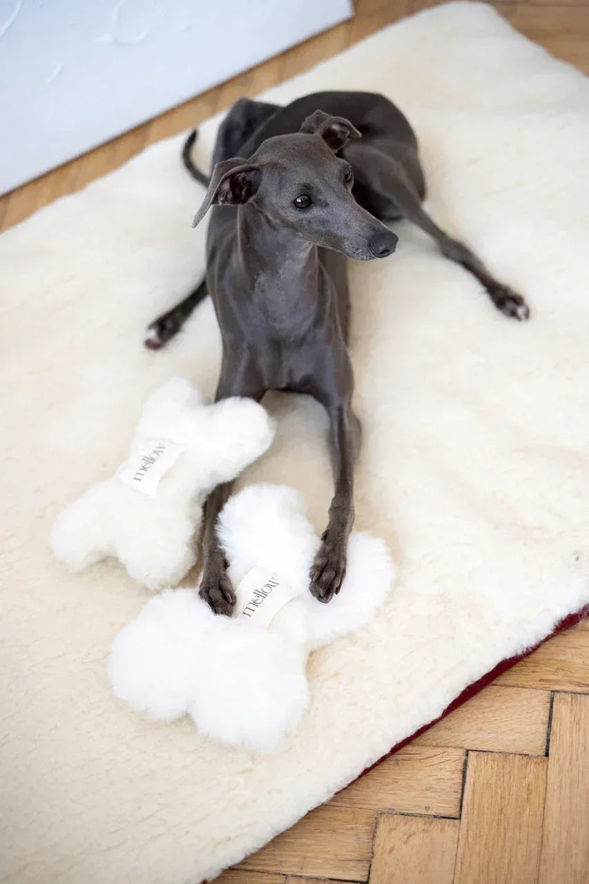 Natural Woolen Dog Toy - Bone - White-0