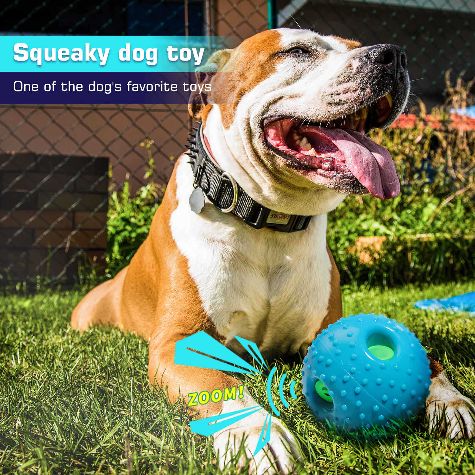 Squeaky Black Dog Play Ball-0