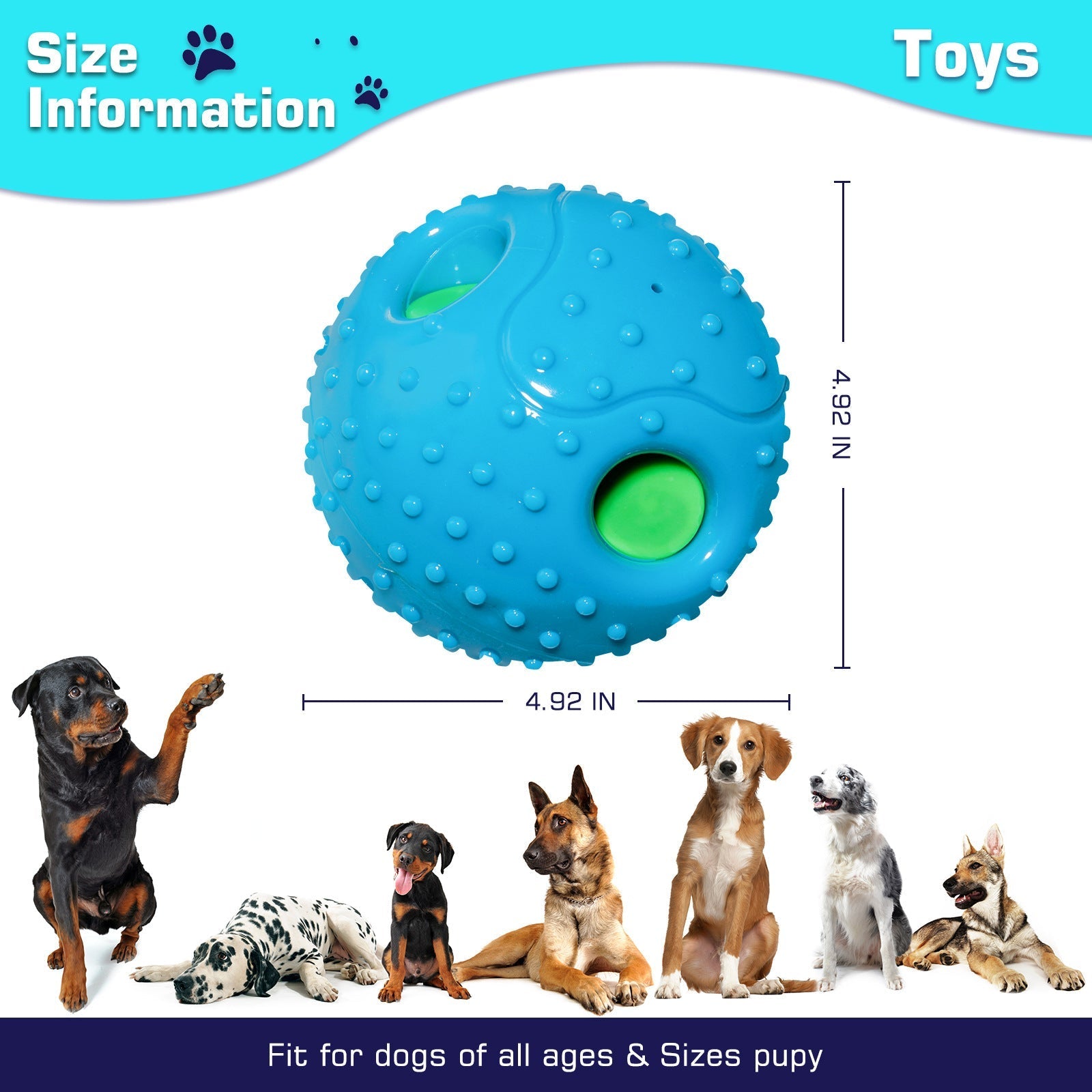 Squeaky Black Dog Play Ball-4