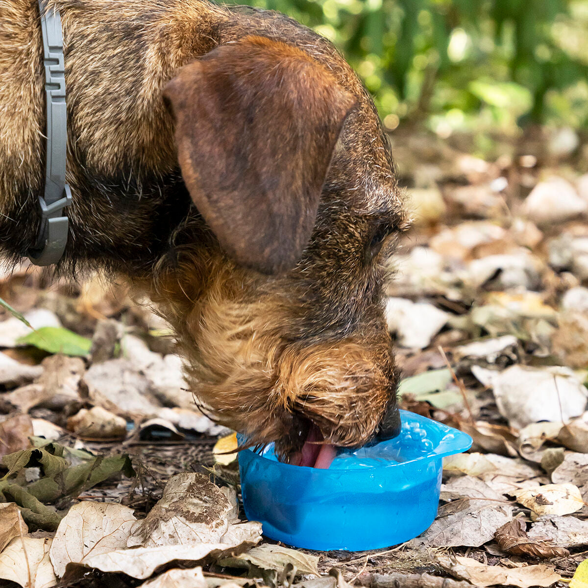 2-in-1 bottle with water and food containers for pets Pettap InnovaGoods-9