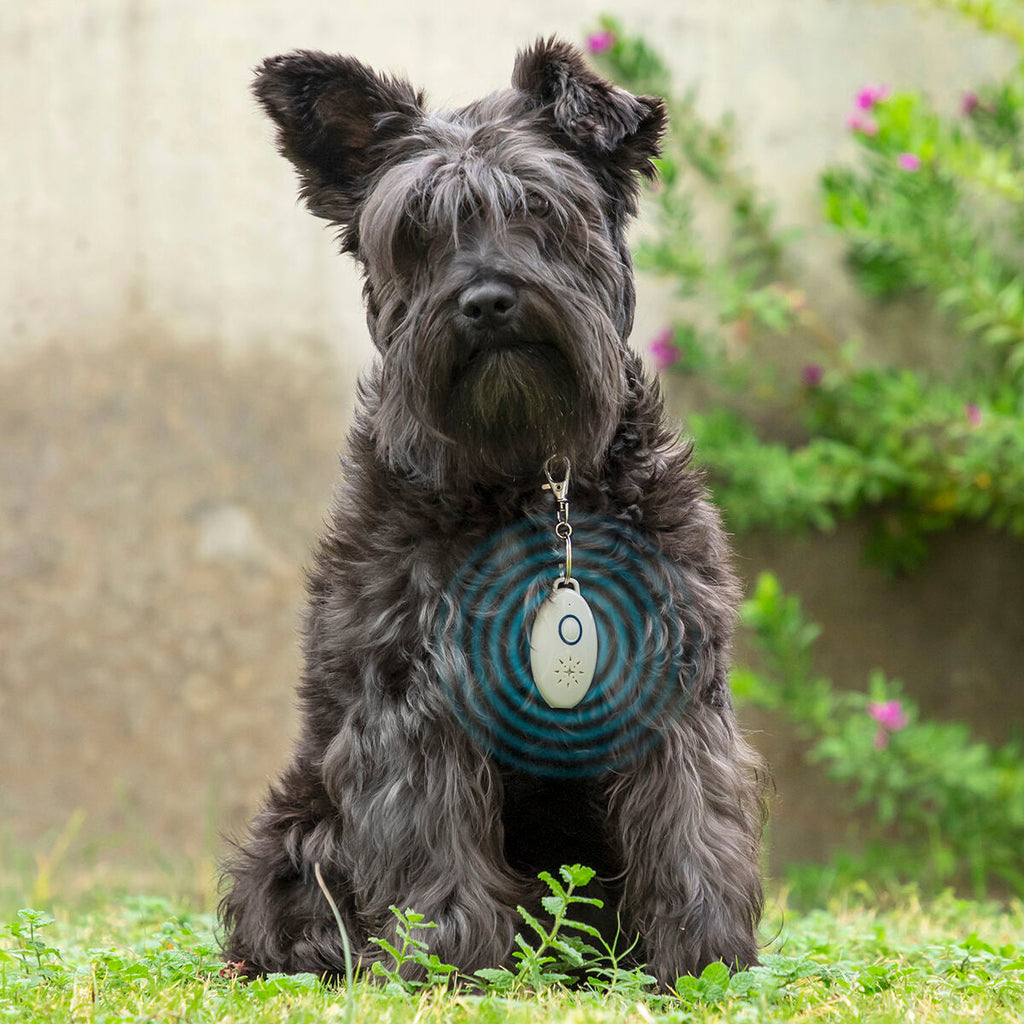 Rechargeable Ultrasound Parasite Repellent for Pets PetRep InnovaGoods-10