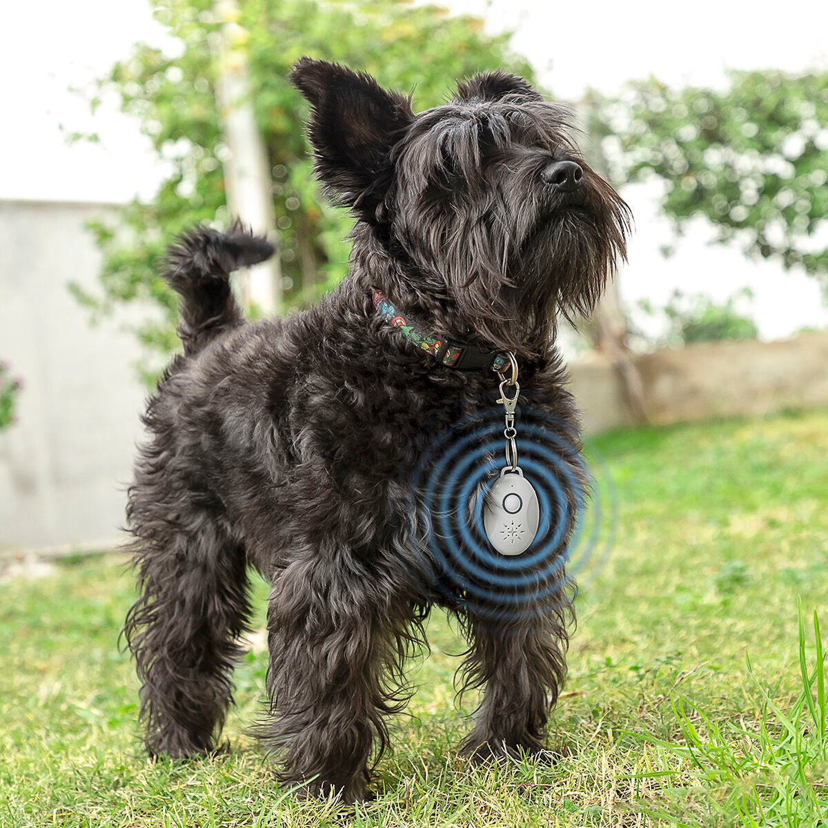 Rechargeable Ultrasound Parasite Repellent for Pets PetRep InnovaGoods-9