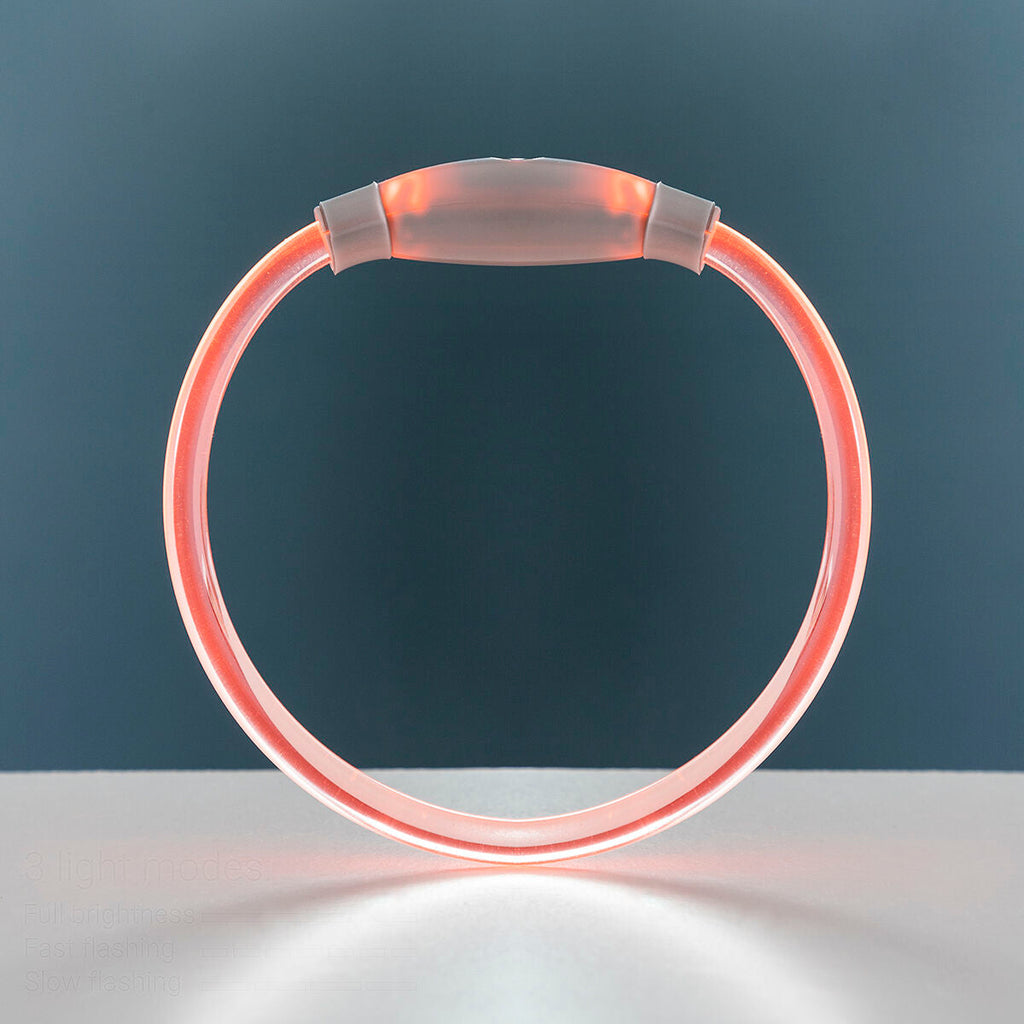LED Collar for Pets Petlux InnovaGoods-8