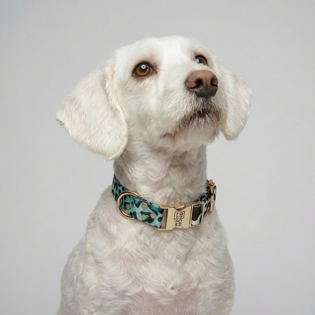 Halsband Aqua Camo-1