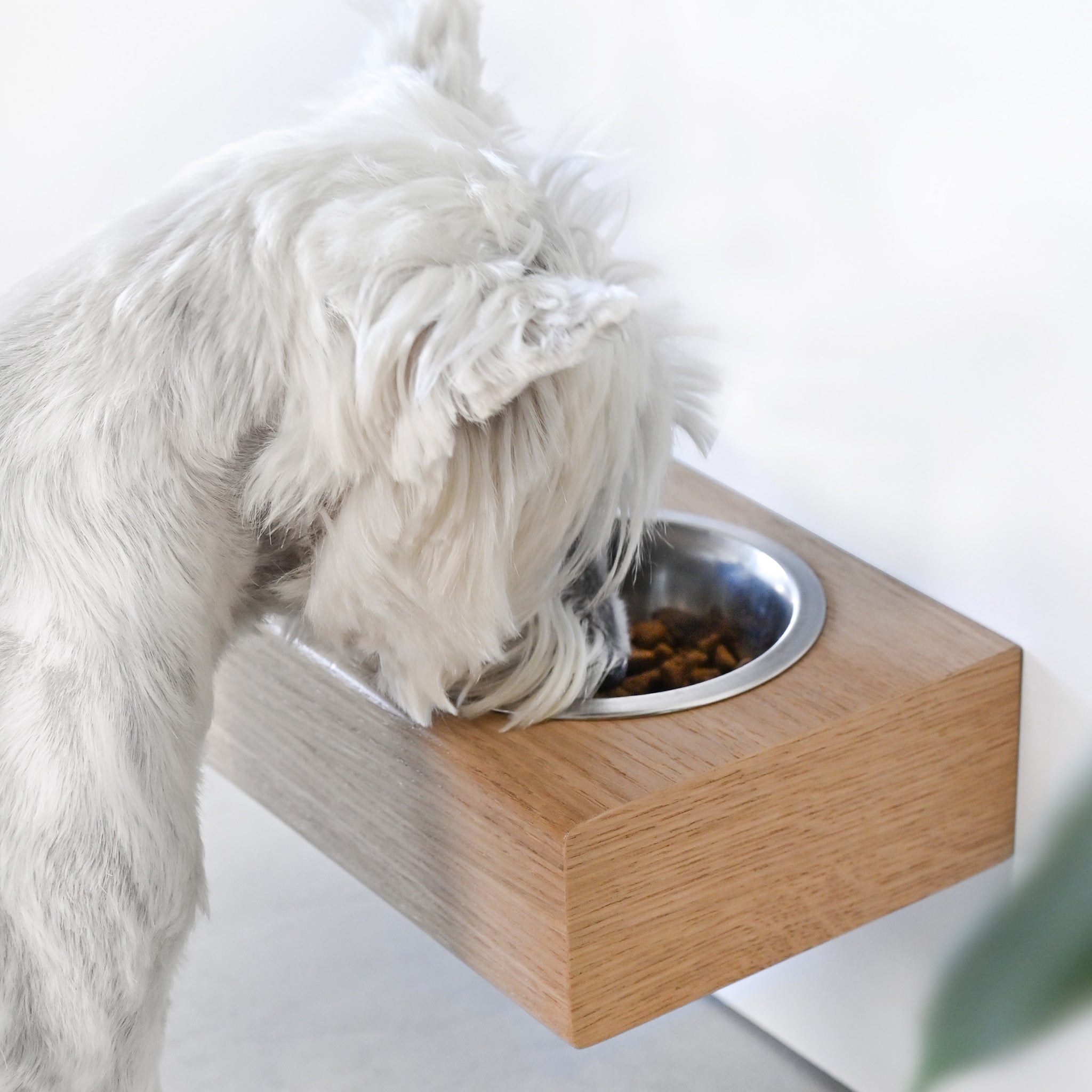 Small Dogs and Cats Wooden Elevated Stand, Young Dog Stand with Bowls-1