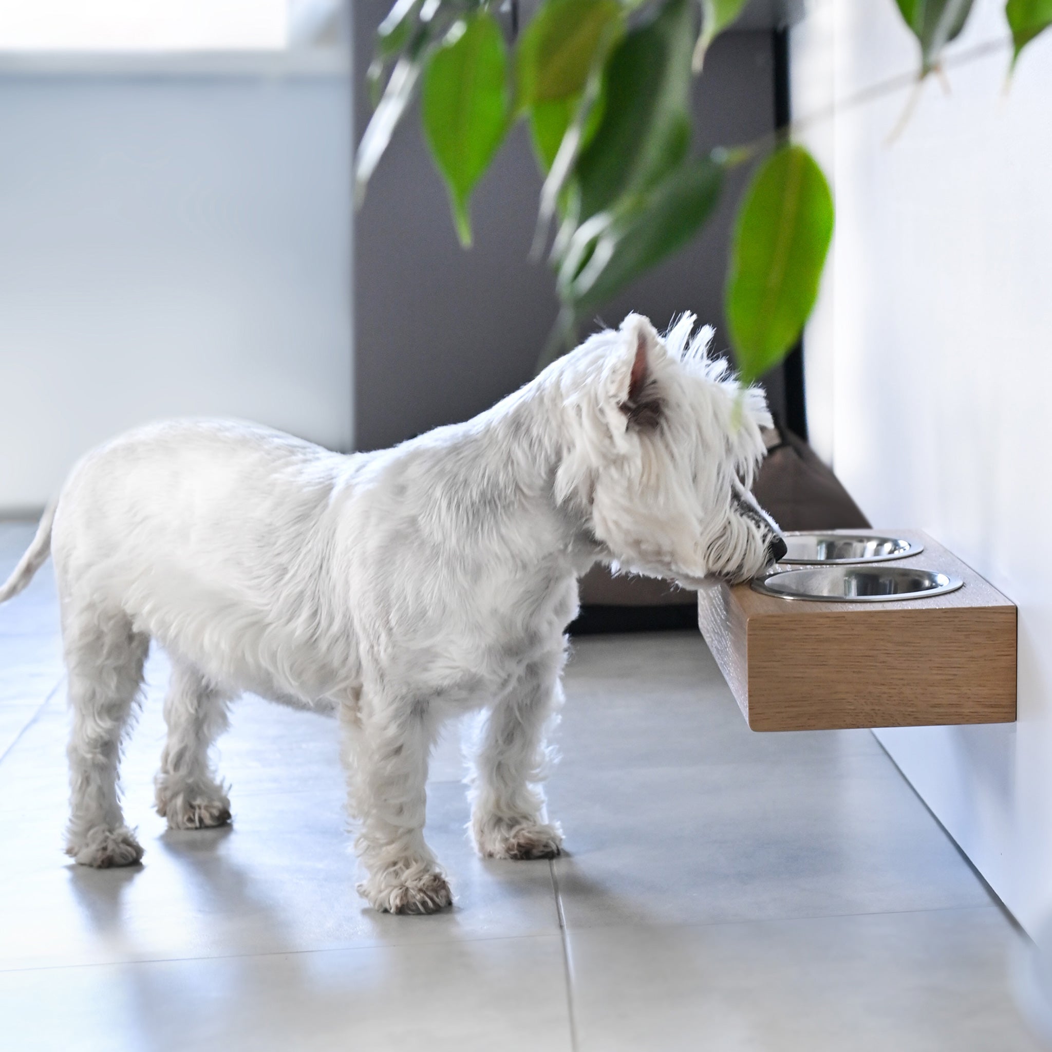 Small Dogs and Cats Wooden Elevated Stand, Young Dog Stand with Bowls-3