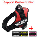Dog Harness ID Tag Custom Harness-0