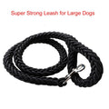 Nylon Dog Harness Leash-0