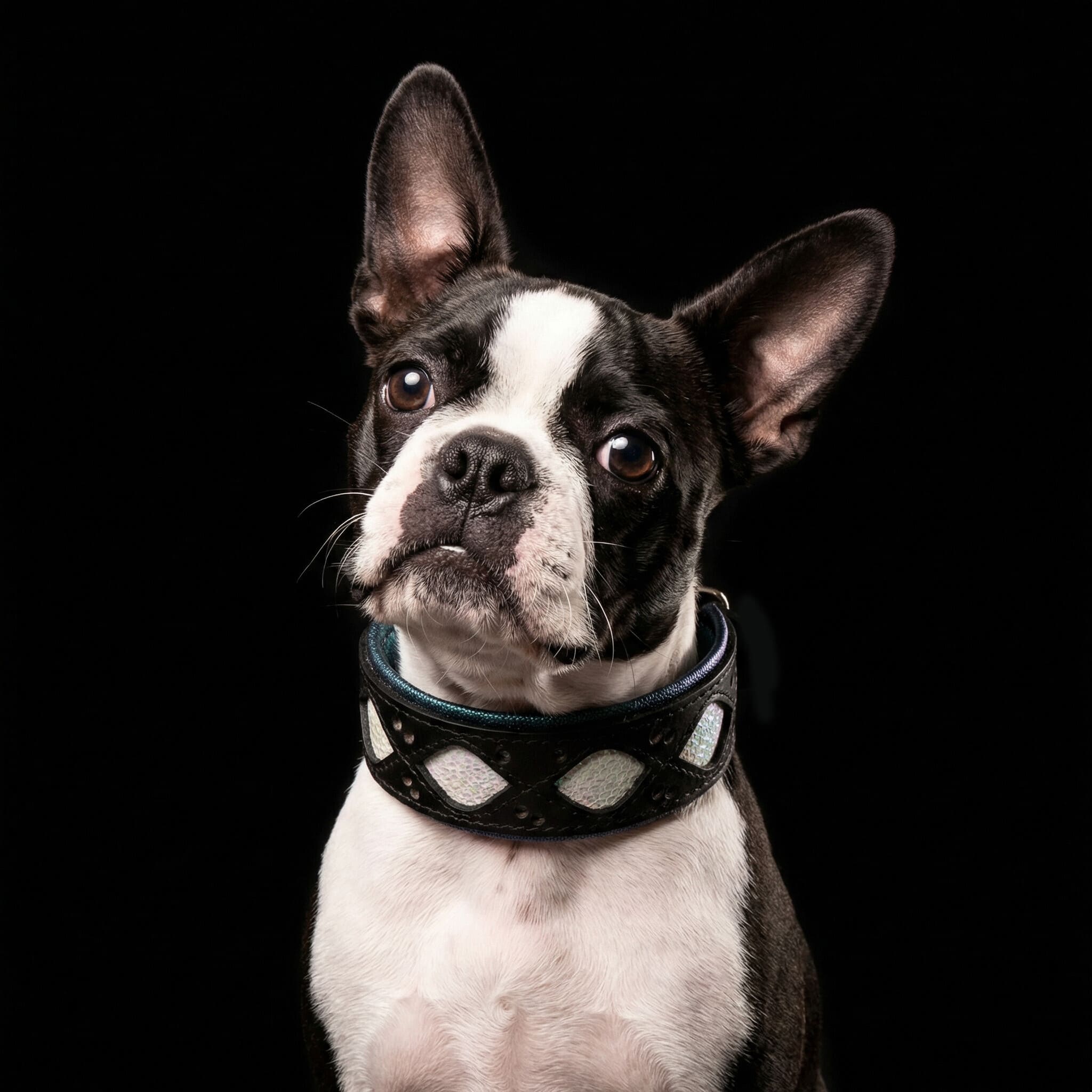 The Avatar Collar-4
