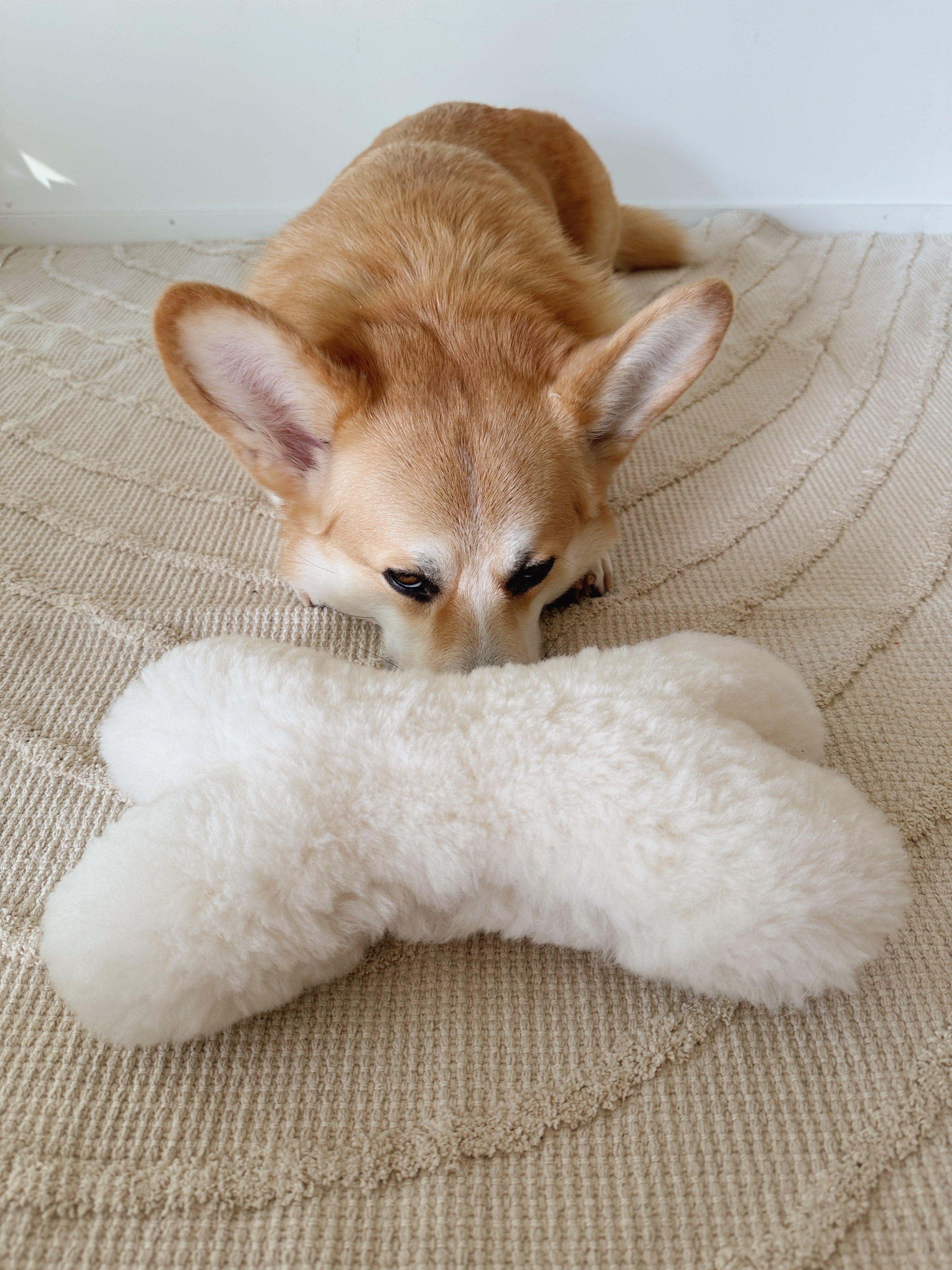 Natural Sheepskin Dog Toy - Bone - White-4