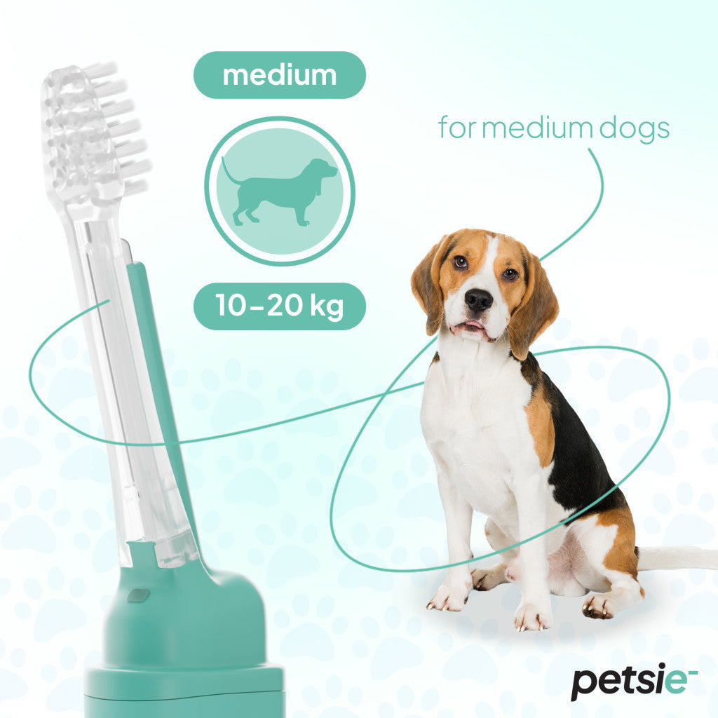 Petsie dog toothbrush (size M  10-20kg)-2