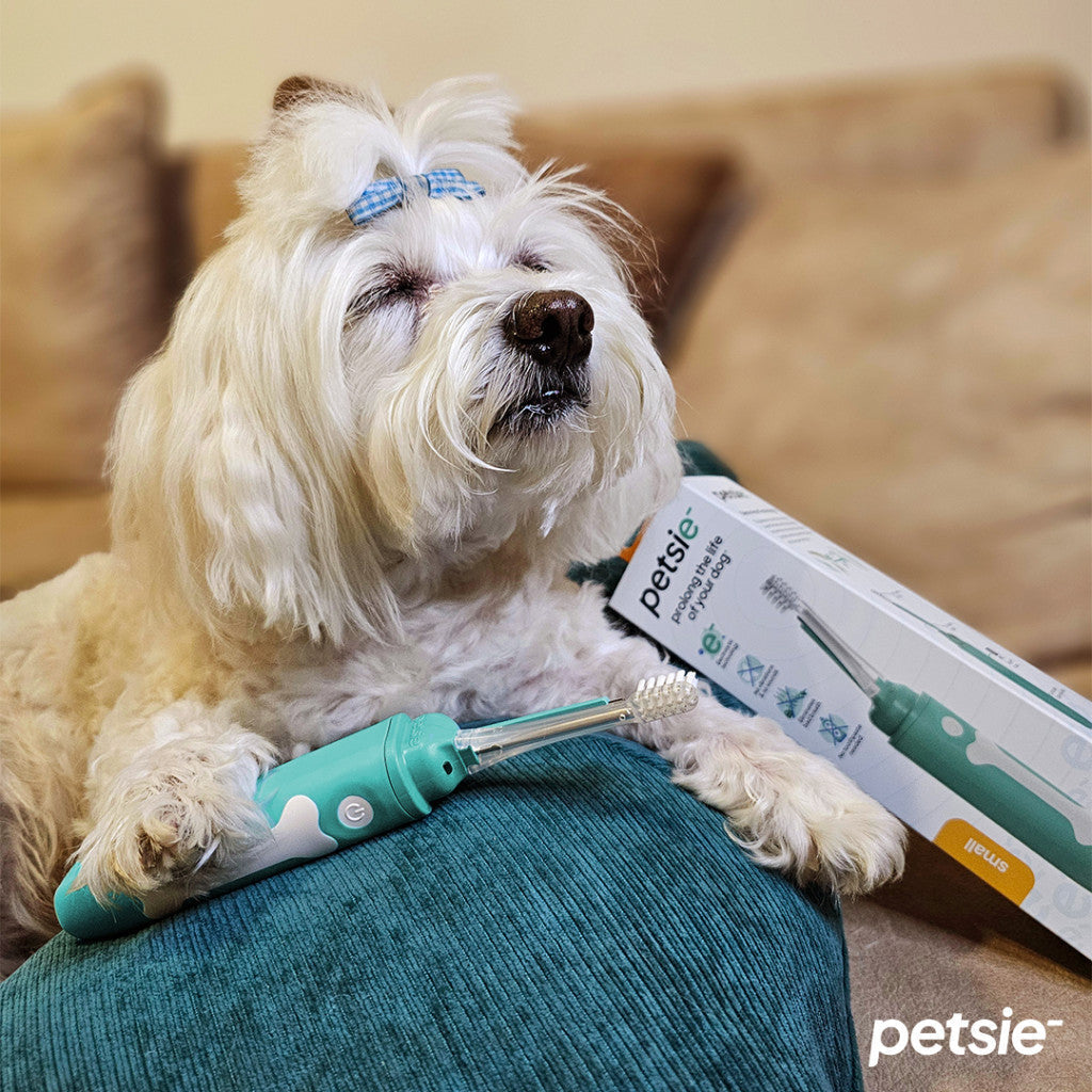 Petsie dog toothbrush (size M  10-20kg)-5