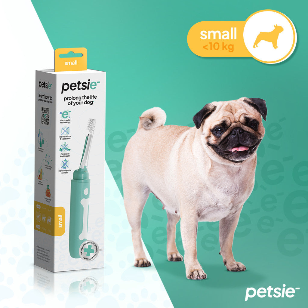 Petsie dog toothbrush (size M  10-20kg)-8